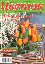 Квітка №1 01/2016