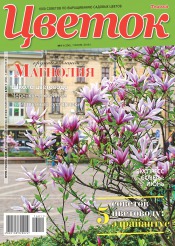 Квітка №11 06/2016