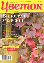 Квітка №22 11/2015