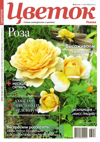 Квітка №18 09/2013