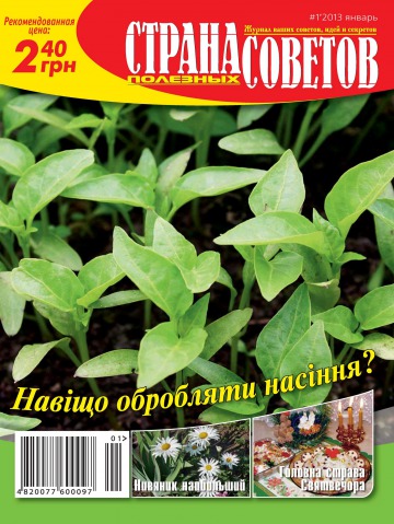 Страна полезных советов №1 01/2013