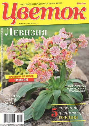 Квітка №15 08/2015