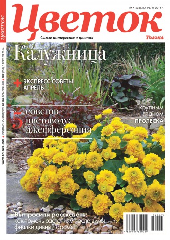 Квітка №7 04/2014