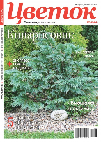 Квітка №23 12/2013