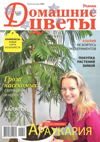 Домашні квіти №12 12/2014