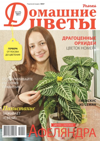 Домашні квіти №4 04/2014