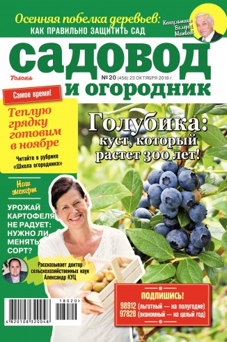 Садівник і огородник №20 10/2018