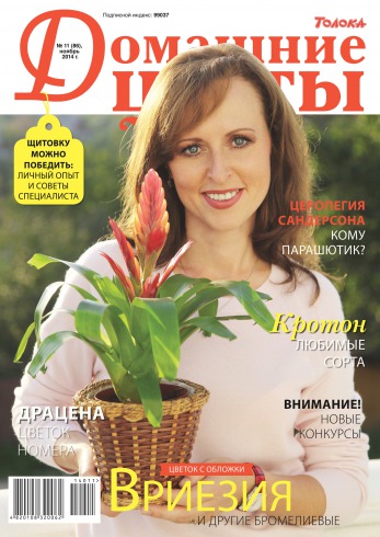 Домашні квіти №11 11/2014