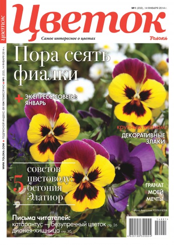 Квітка №1 01/2014