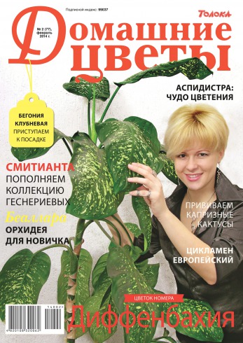 Домашні квіти №2 02/2014