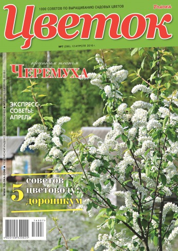 Квітка №7 04/2016