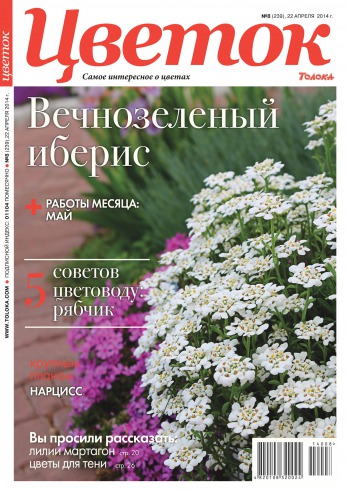 Квітка №8 04/2014